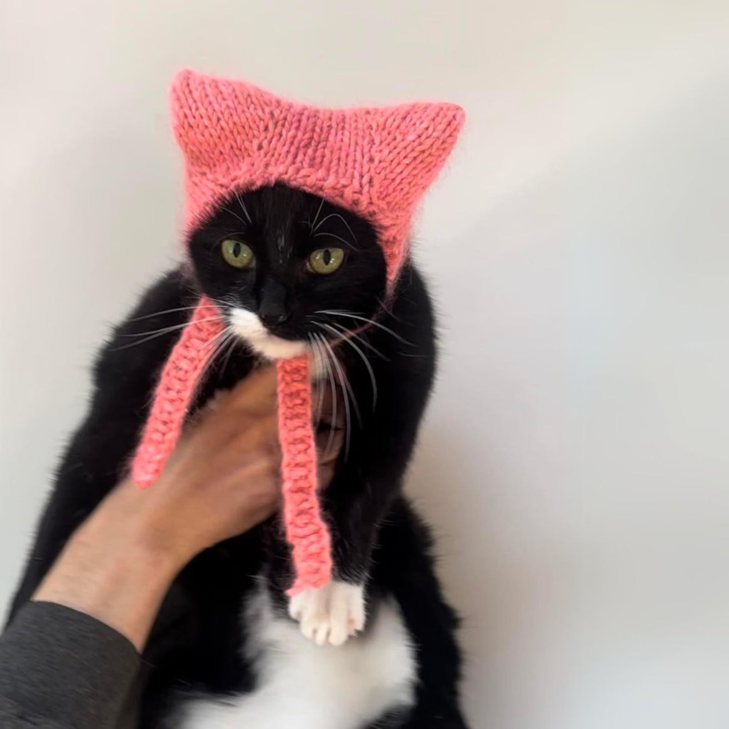 Cat Hat With Kitty Ears Knitting Pattern