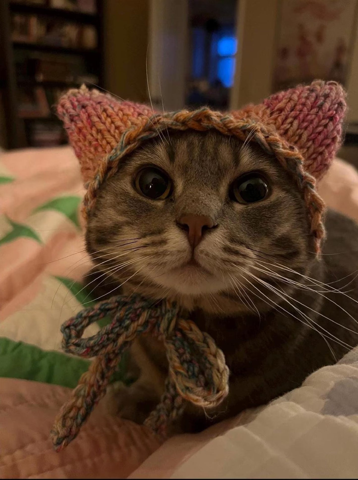 Cat Hat With Kitty Ears Knitting Pattern