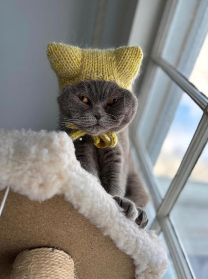 Cat Hat With Kitty Ears Knitting Pattern