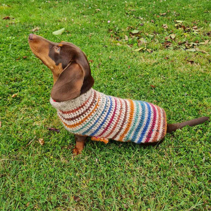 Striped Dog Sweater Crochet Pattern