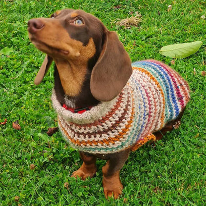 Striped Dog Sweater Crochet Pattern