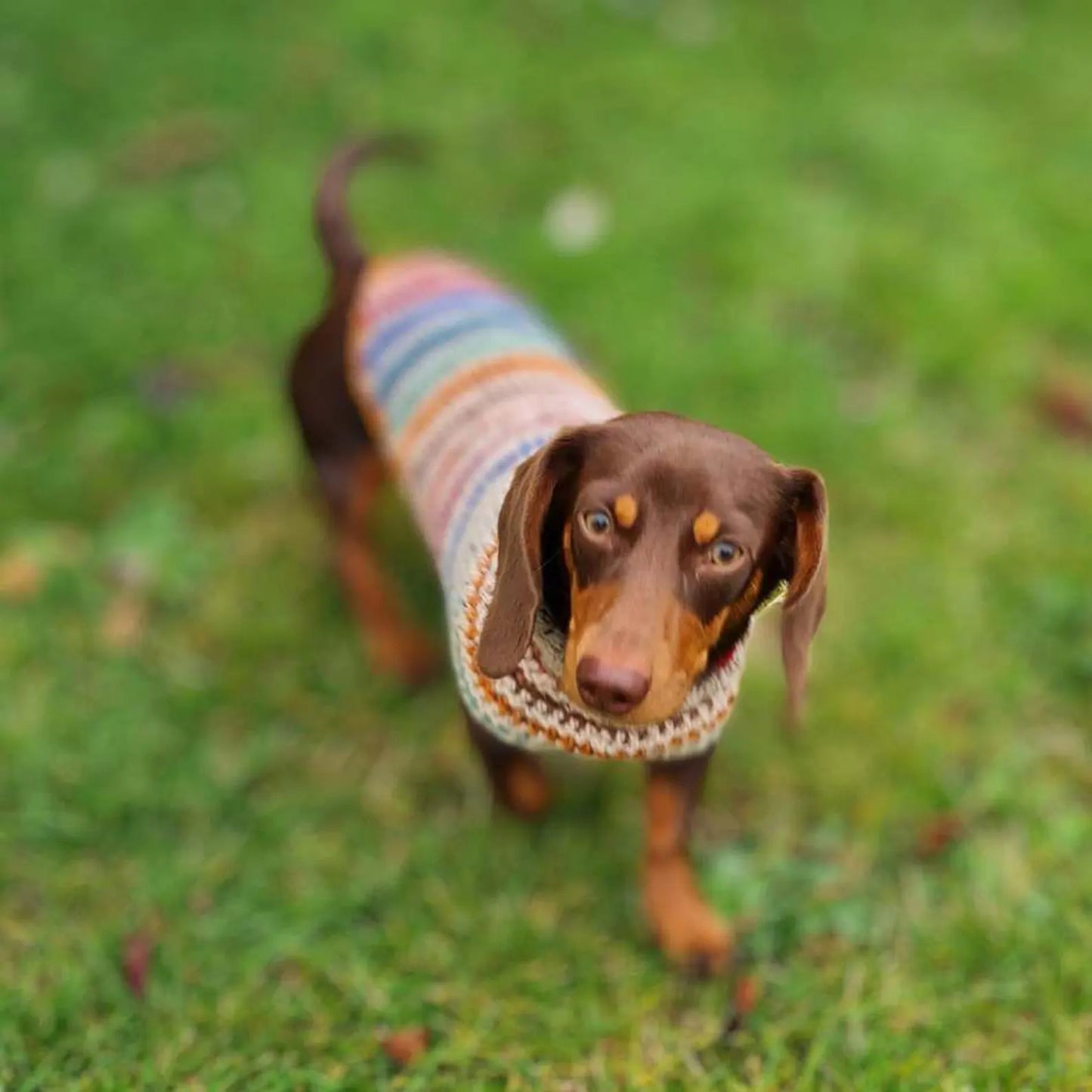 Striped Dog Sweater Crochet Pattern