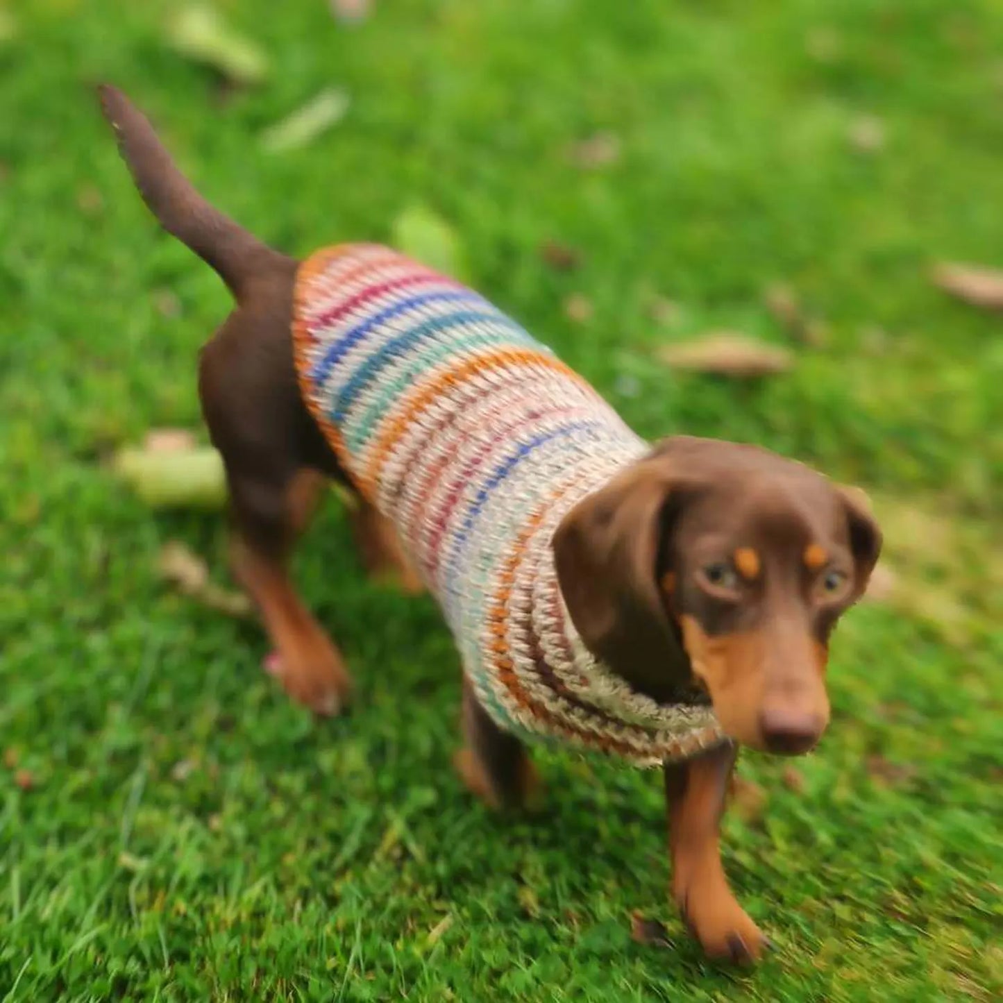 Striped Dog Sweater Crochet Pattern