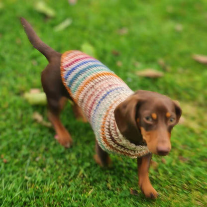 Striped Dog Sweater Crochet Pattern