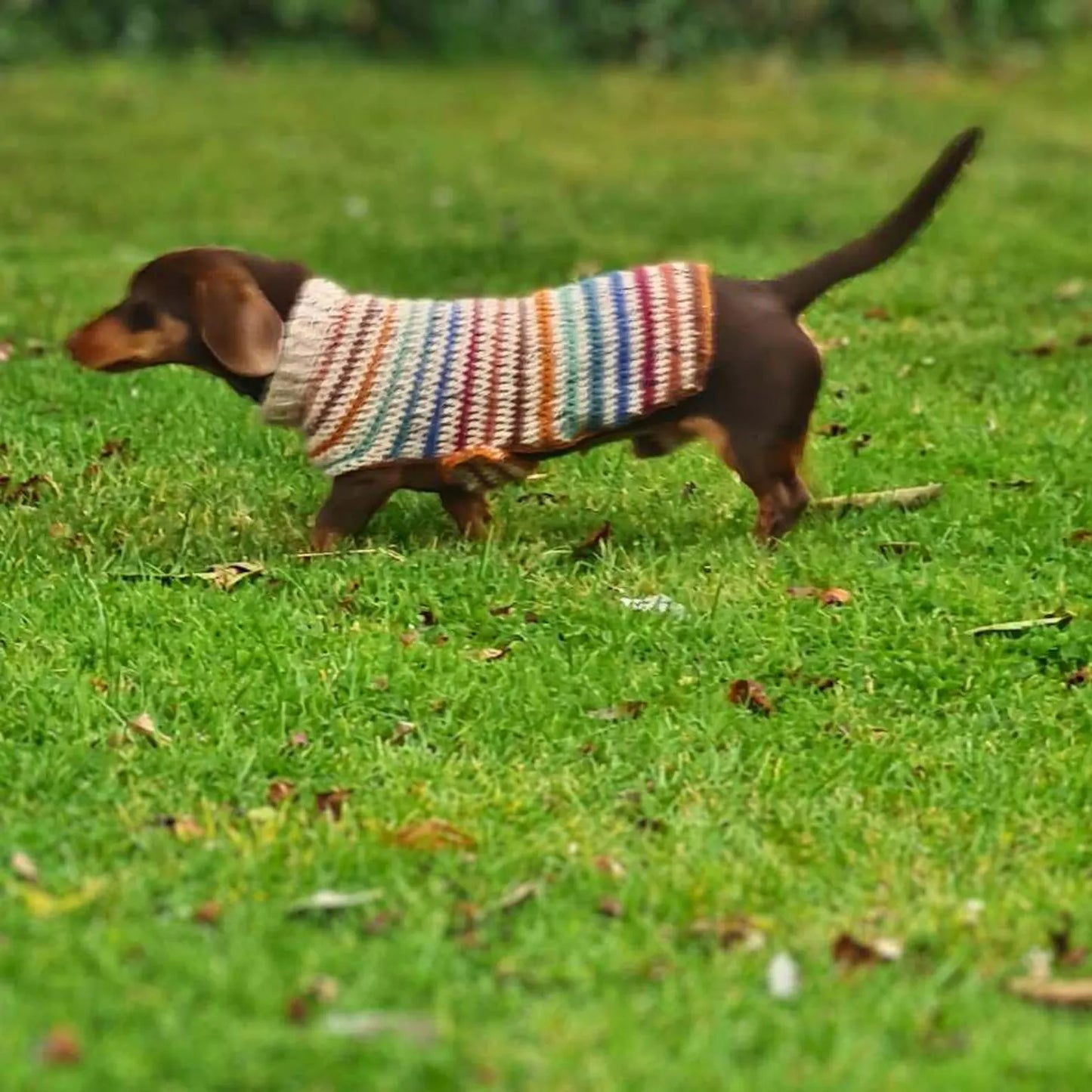 Striped Dog Sweater Crochet Pattern